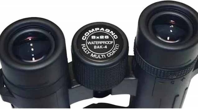 BRAUN DVOGLED 8X26 (2 / 2)