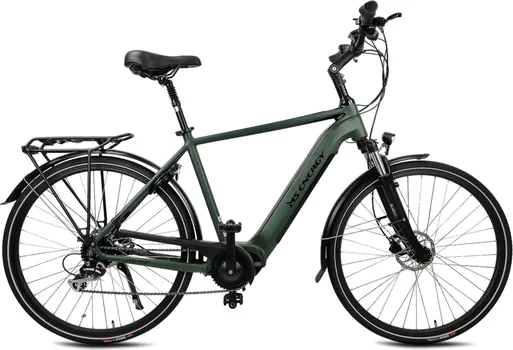 MS ENERGY EBIKE C501 M (1 / 8)