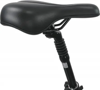 MS ENERGY EBIKE C501 M (2 / 4)