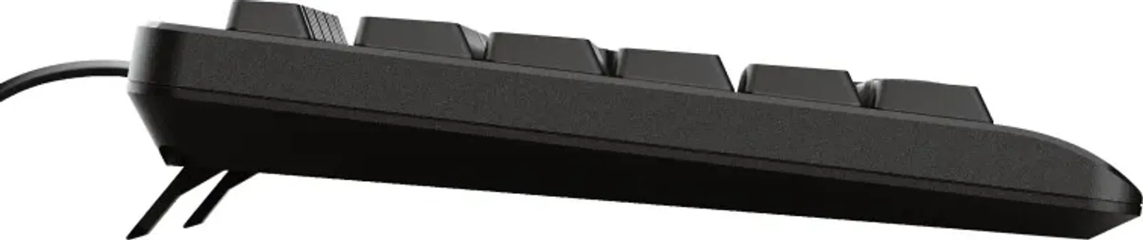 TRUST PRIMO 23880 FULL-SIZE KEYBOARD WITH SILENT KEYS AND SPILL-RESISTANT DESIGN (3 / 4)