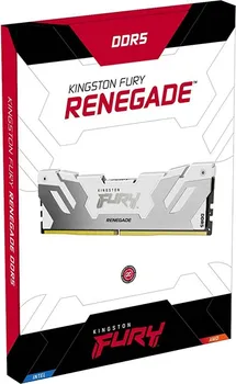 KINGSTON DIMM DDR5 16GB / 6000MT/S KF560C32RW-16 FURY RENEGADE WHITE (3 / 3)