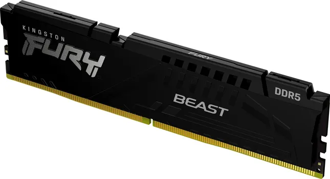 KINGSTON DIMM DDR5 8GB / 5600MT/S KF556C36BBE-8 FURY BEAST BLACK EXPO (8 / 8)