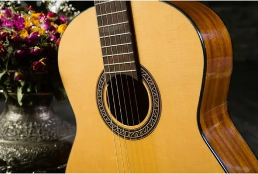 FLIGHT C-120 NA – SET KLASICNA GITARA 4/4 (7 / 11)