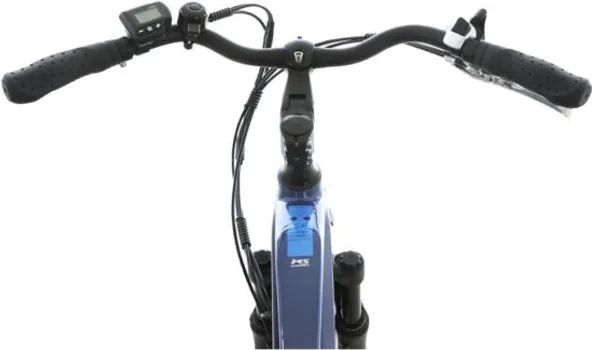 MS ENERGY EBIKE C11 M (2 / 3)