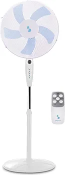 BEPER P206VEN131 (1 / 2)