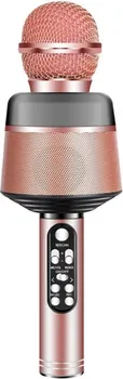 WSTER Q008 KARAOKE BLUETOOTH (1 / 2)