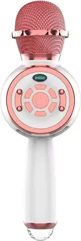 WSTER DS-810 KARAOKE BLUETOOTH (2 / 2)
