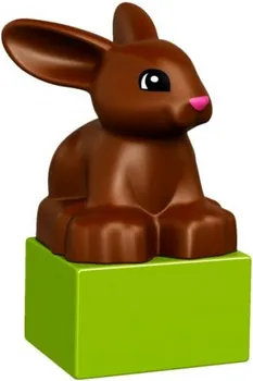 LEGO DUPLO 10838 FAMILY PETS (1 / 5)