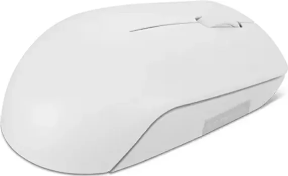 LENOVO 300 WIRELESS COMPACT MOUSE (12 / 18)