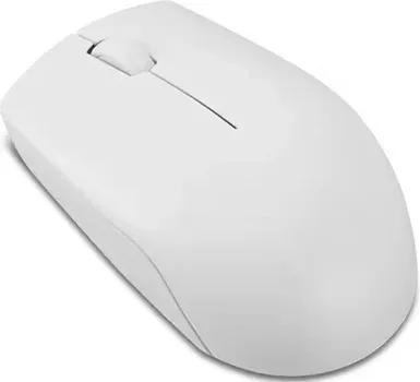 LENOVO 300 WIRELESS COMPACT MOUSE (18 / 18)