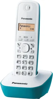PANASONIC KX-TG1611FXC (2 / 4)