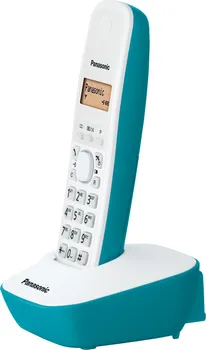 PANASONIC KX-TG1611FXC (4 / 4)