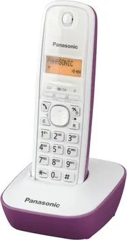 PANASONIC KX-TG1611FXF (1 / 4)