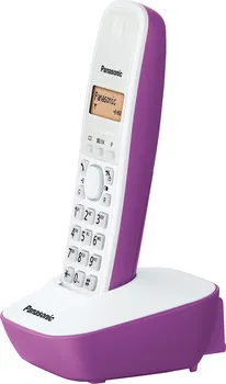 PANASONIC KX-TG1611FXF (2 / 6)