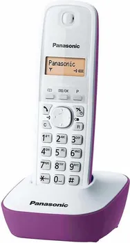 PANASONIC KX-TG1611FXF (2 / 4)