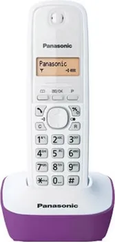 PANASONIC KX-TG1611FXF (3 / 4)