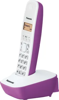 PANASONIC KX-TG1611FXF (4 / 4)