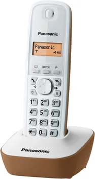 PANASONIC KX-TG1611FXJ (1 / 3)