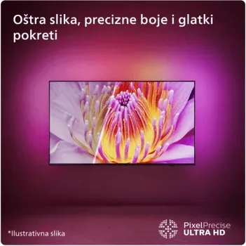 PHILIPS 65 PUS8009 [65 / UHD] (21 / 30)