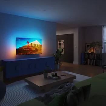 PHILIPS 65 PUS8009 [65 / UHD] (28 / 30)