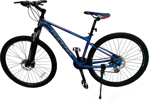 BICIKL 29 PHOENIX EVA170 (1 / 1)