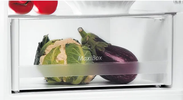 INDESIT LI6 S2E W [197L / 75L] (4 / 7)