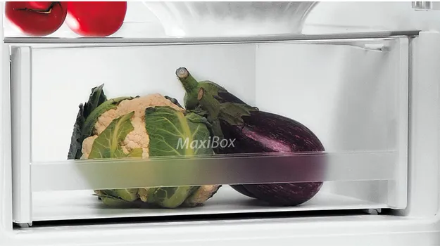 INDESIT LI6 S2E X [197L / 75L] (4 / 7)