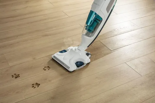 ROWENTA USISIVAC NA PARU STAPNI RY7777WH (2 / 19)