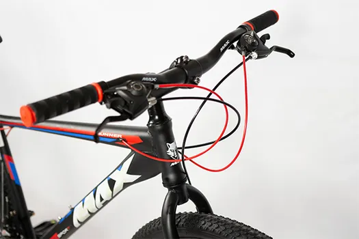 BICIKL 29 8.0 MAX RUNNER BLACK/BLUE/RED (4 / 10)