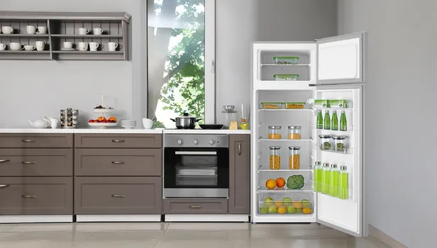VIVAX HOME DD-207E S [242L] (14 / 16)