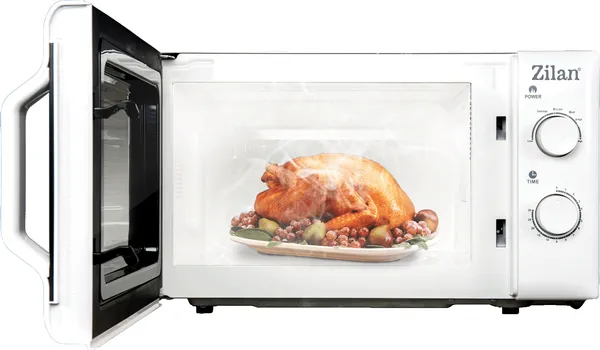 ZILAN / FLORIA ZLN1174 [700W / 20L]