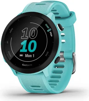 GARMIN FORERUNNER 55 [AQUA] (1 / 7)