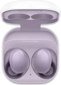 SAMSUNG GALAXY BUDS 2 [BUDS2] (17 / 22)