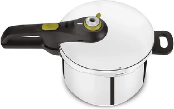TEFAL EKSPRES LONAC P2580701 6L (1 / 10)