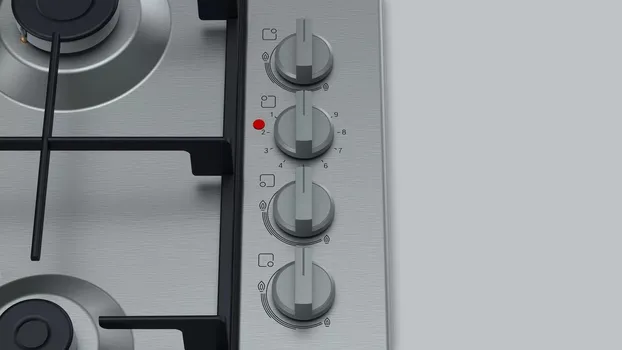 BOSCH KOMBINOVANA PLOČA 3/1SERIE 2| (2 / 5)