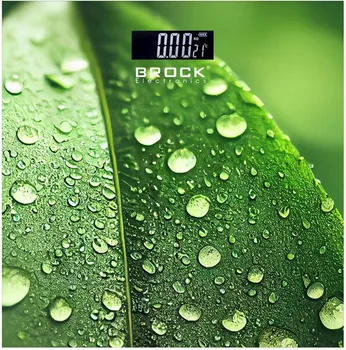 BROCK TJELESNA VAGA BS 003 VAGA ZA KUPAONICU (1 / 1)