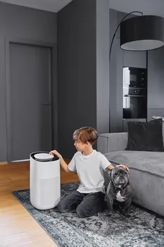 AENO AIR PURIFIER AP1S, WIFI, UV LAMP, CADR 450 M³/H, 60M2, CARBON FILTER +HEPA H13