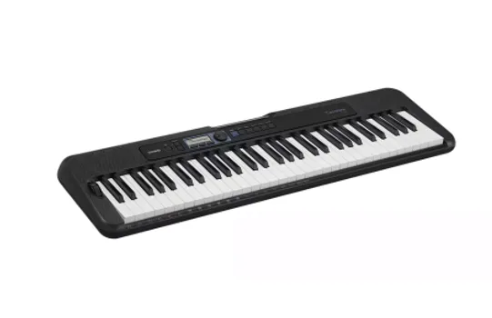 CASIO CT-S300