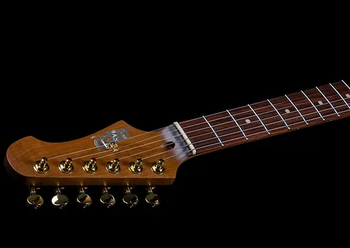 JET JS-480 WR G ELEKTRICNA GITARA ST-STYLE