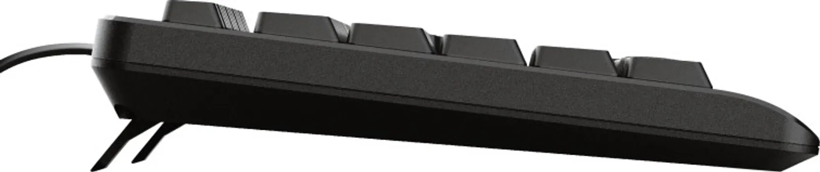 TRUST PRIMO TASTATURABIH/HR/SRB LAYOUT, ŽIČANA,USB 2.0, SPILL-RESISTANT DIZAJN (7 / 8)