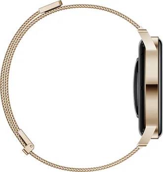 HUAWEI WATCH GT3 [42MM] (5 / 6)