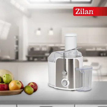 ZILAN / FLORIA ZLN7979 GY (5 / 5)