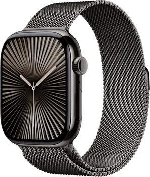 APPLE WATCH 46MM MILANESE LOOP: SLATE S/M [SMARTWATCH] (3 / 3)