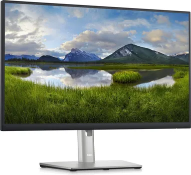 DELL P2423DE (12 / 13)