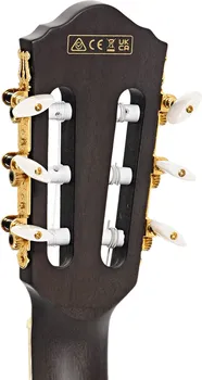 GITARA EL. IBANEZ TOD10N TKF (9 / 9)