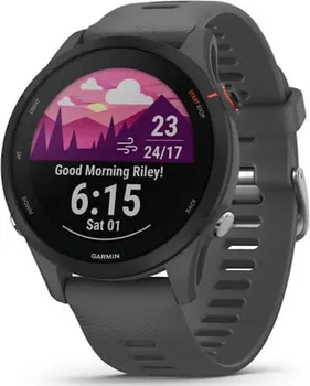 GARMIN FORERUNNER 255 [SLATE GREY / 010-02641-10]