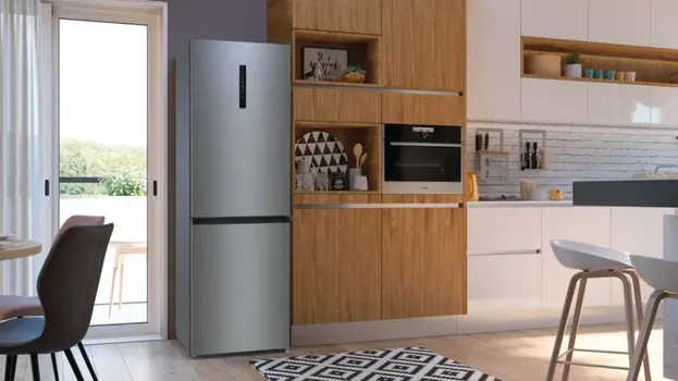 GORENJE NRK 6202 AXL4 (33 / 37)
