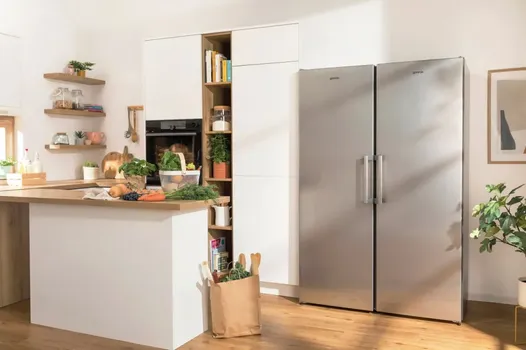 GORENJE FN 619 FES5 VERTICAL (19 / 21)