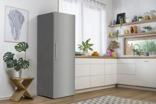 GORENJE FN 619 FES5 VERTICAL (20 / 21)