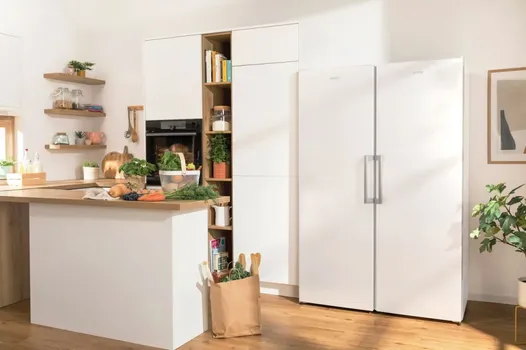 GORENJE FN 619 FEW5 VERTICAL (16 / 21)